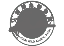 合作伙伴五-上海野生动物园