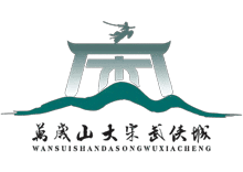 合作伙伴十二