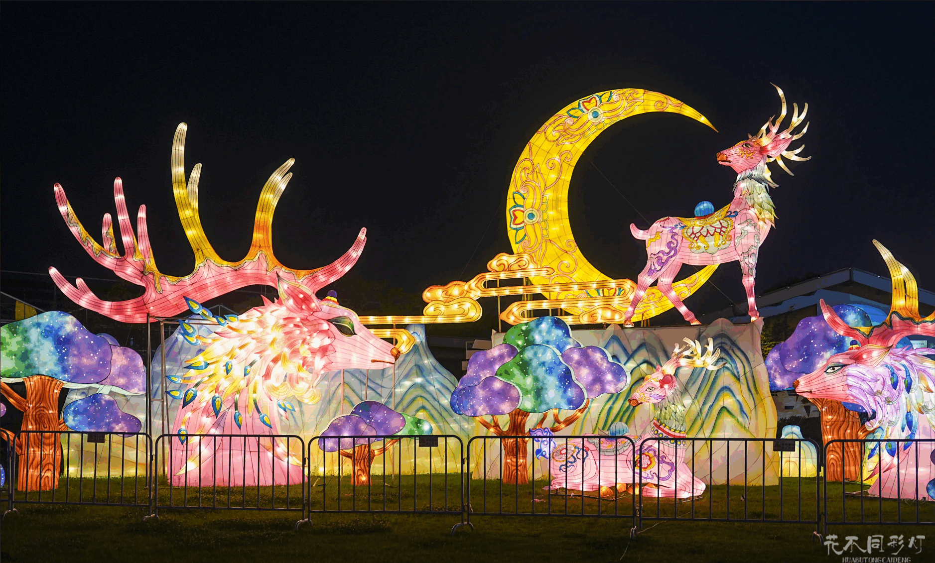 九龙湾花星球灯光节现场，游客在梦幻的花海光影中漫步，展现自然与科技的完美融合