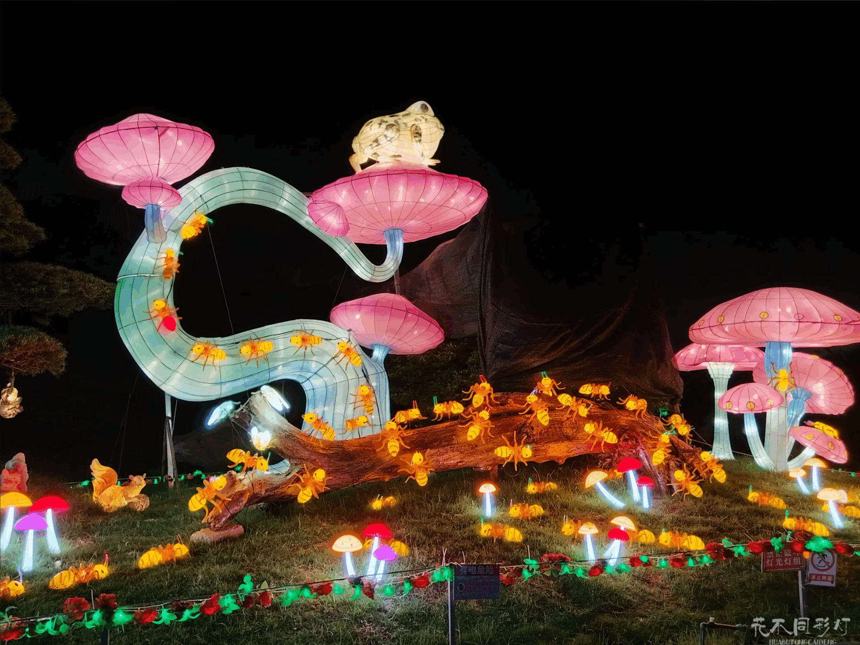 九龙湾花星球灯光节夜晚亮灯效果