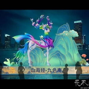 花不同彩灯是一家什么样的公司