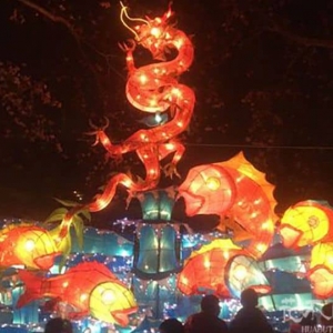 如何选择一家专业的元宵灯会策划公司？