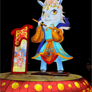 景区彩灯展成功案例-花不同彩灯