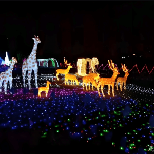 灯光节制作执行全流程