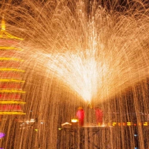 城市灯光节成功案例分析-花不同彩灯