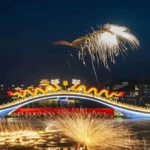 凤凰于飞打铁花凤凰样式-花不同彩灯