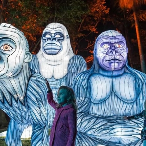 景区灯光节引流技巧-花不同彩灯