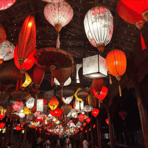 古镇灯笼装饰案例-花不同彩灯