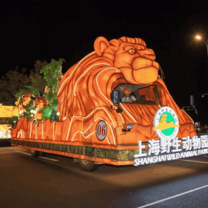 彩船浮力安全吗-花不同彩灯